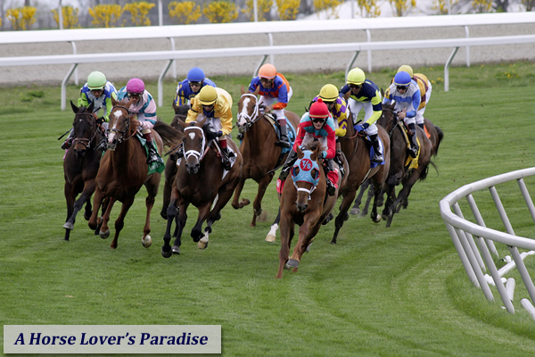 Lexington KY Horse Capital of the World