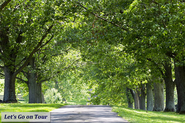 Lexington KY Area Tours